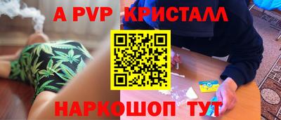 хмурый Тула