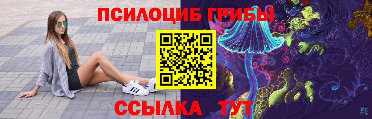 Псилоцибиновые грибы мицелий  Вход с VPN  Нижний Новгород 