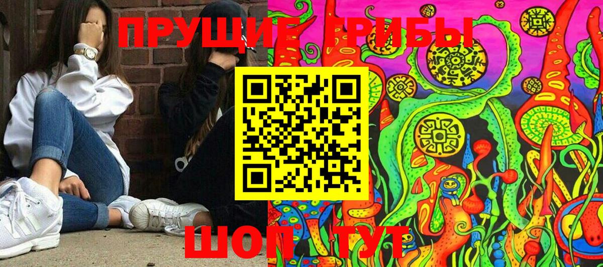 Псилоцибиновые грибы прущие грибы Нижний Новгород